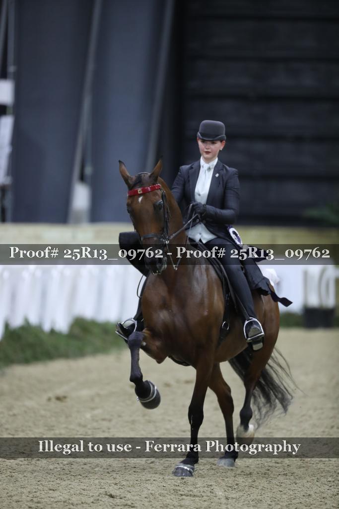 Proof Number 25R13_09762