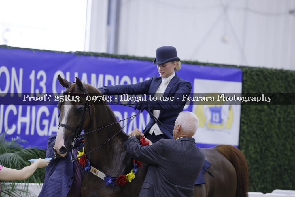 Proof Number 25R13_09763