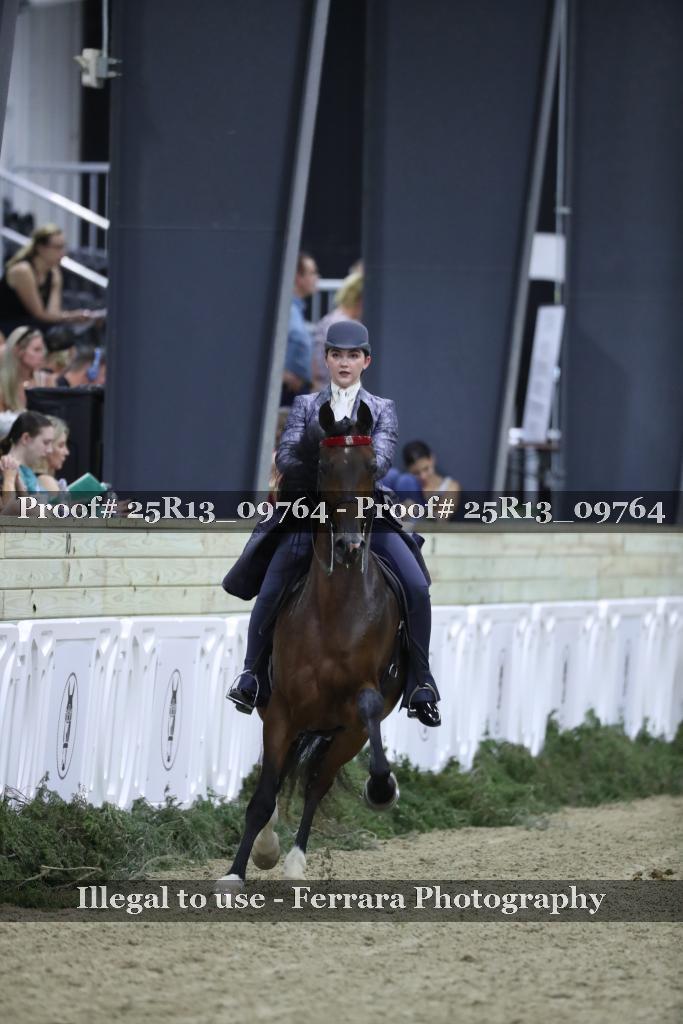 Proof Number 25R13_09764