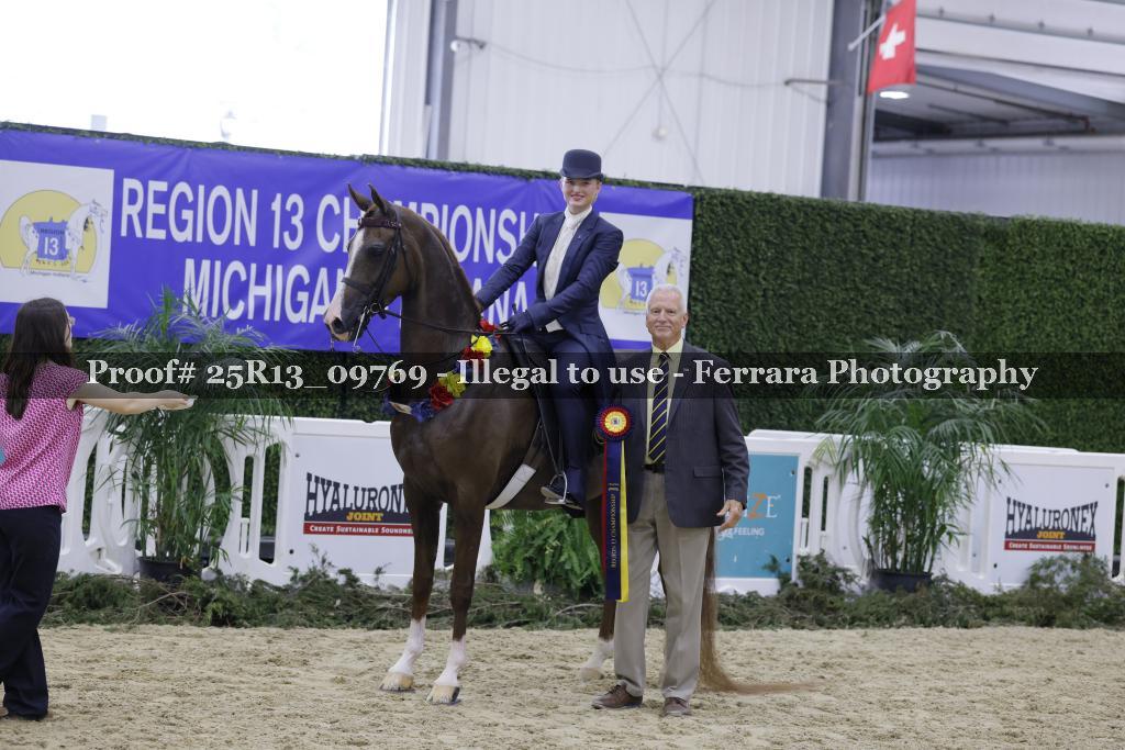 Proof Number 25R13_09769