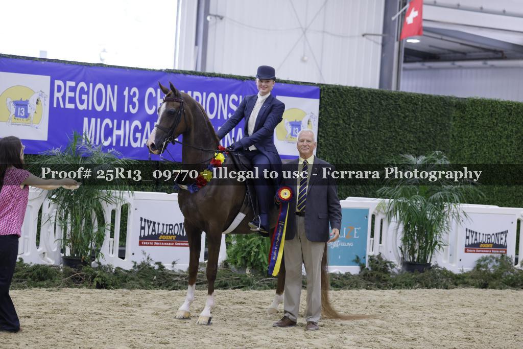 Proof Number 25R13_09770