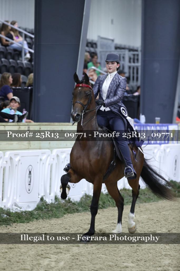 Proof Number 25R13_09771