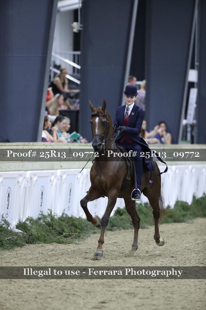 Proof Number 25R13_09772