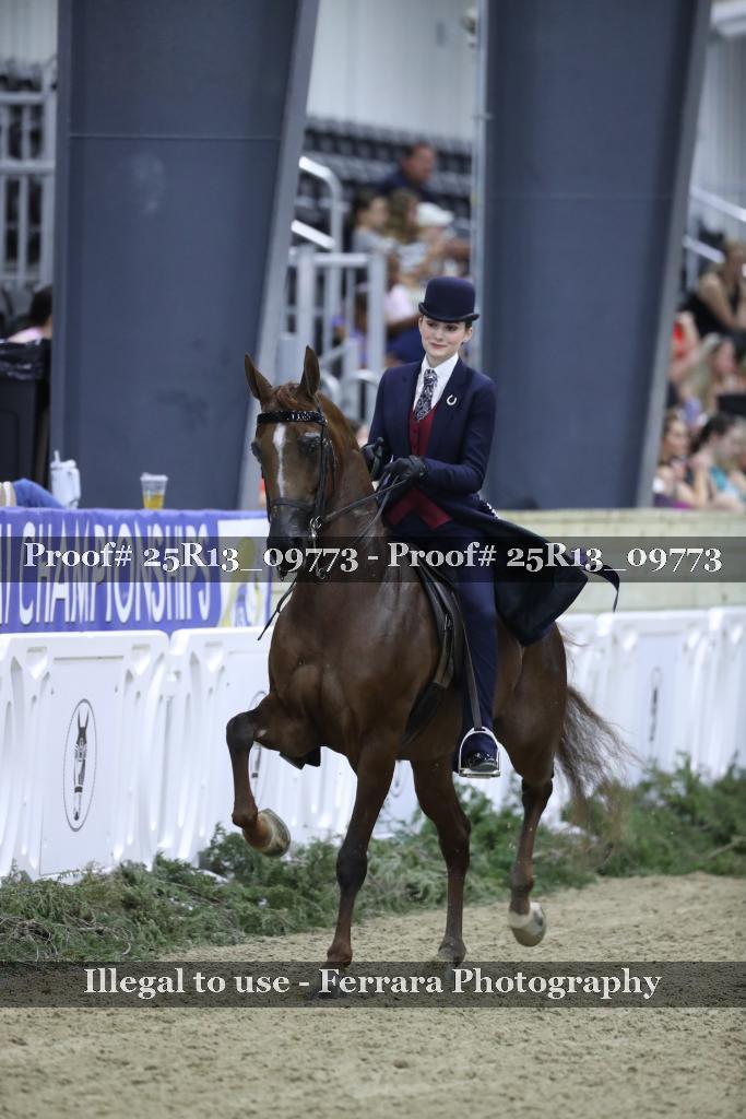 Proof Number 25R13_09773