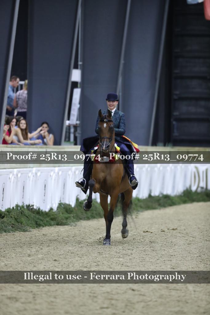 Proof Number 25R13_09774