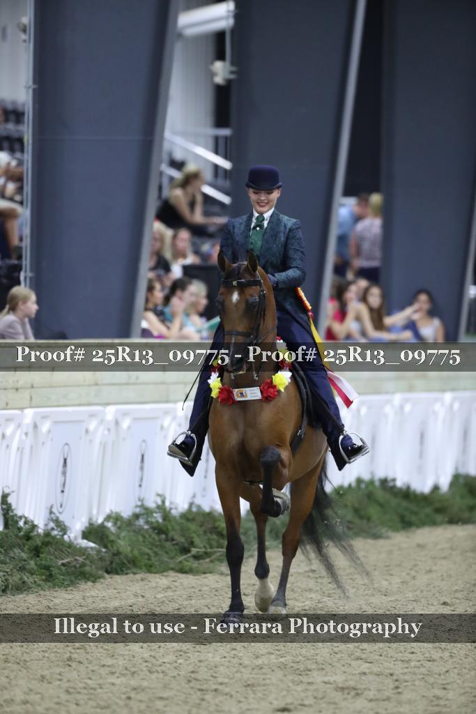 Proof Number 25R13_09775