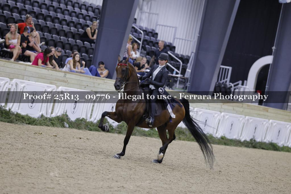 Proof Number 25R13_09776