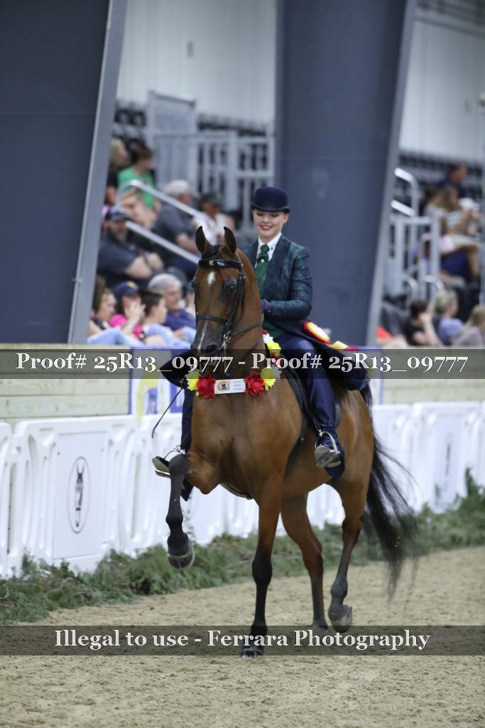Proof Number 25R13_09777