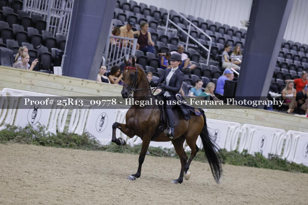 Proof Number 25R13_09778