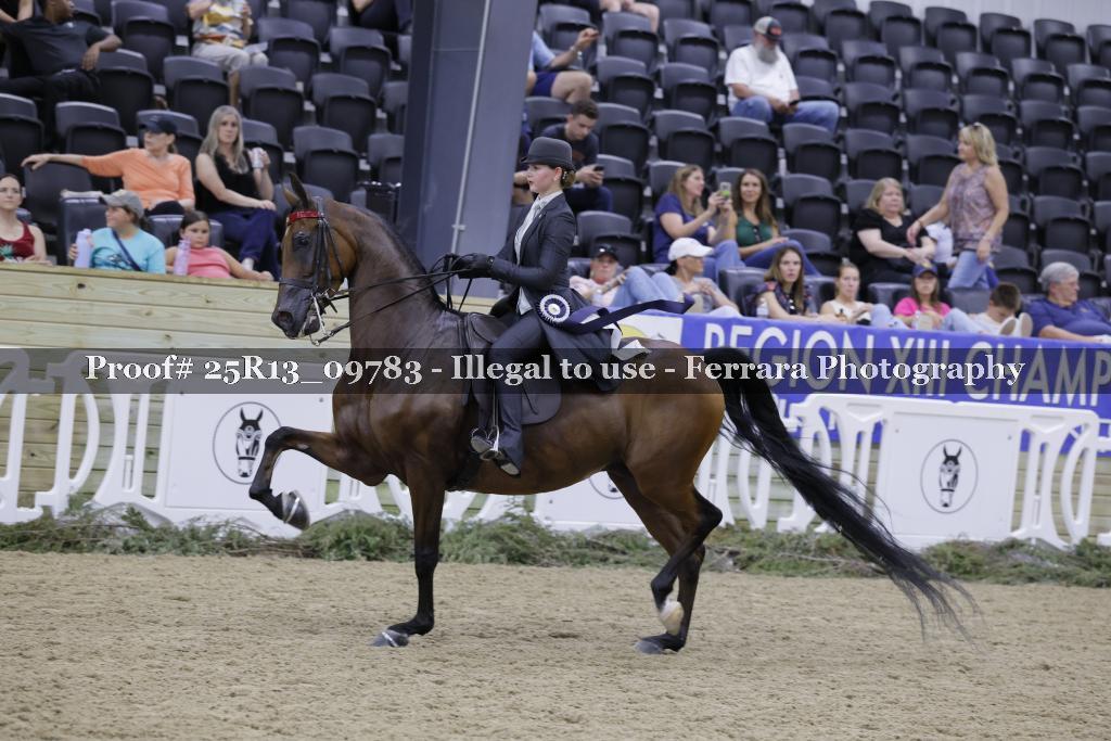 Proof Number 25R13_09783