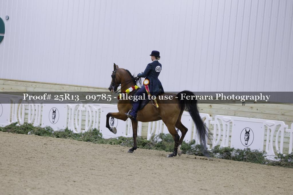 Proof Number 25R13_09785