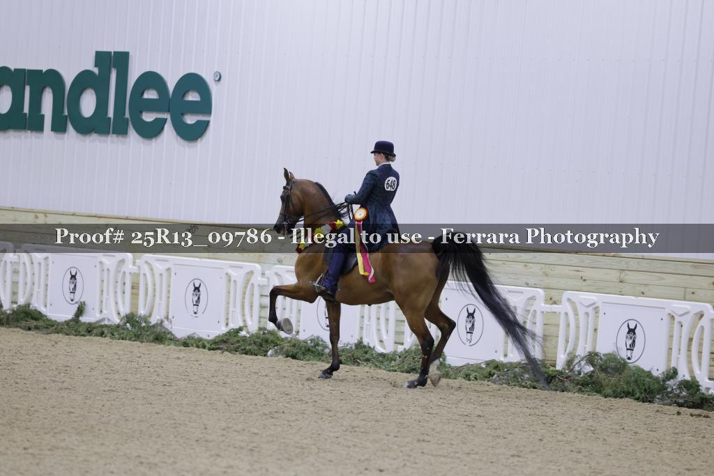 Proof Number 25R13_09786