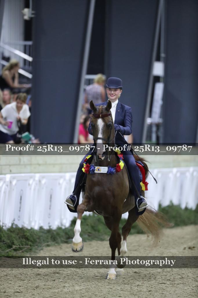 Proof Number 25R13_09787