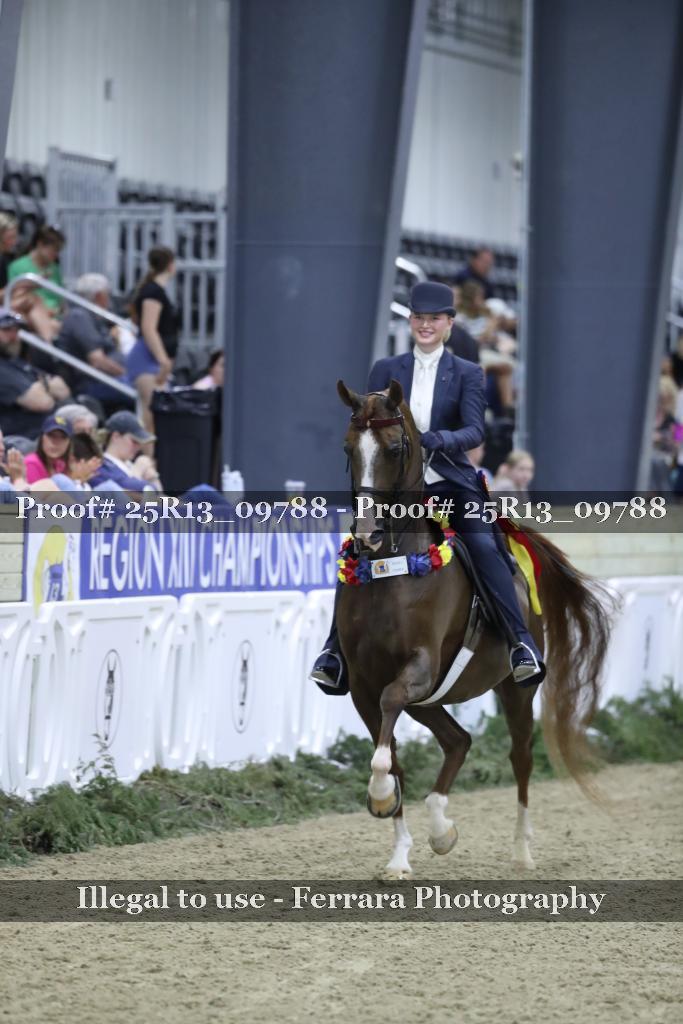 Proof Number 25R13_09788