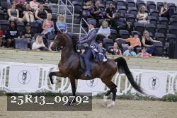 25R13_09792 thumbnail