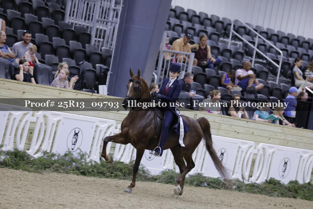 Proof Number 25R13_09793