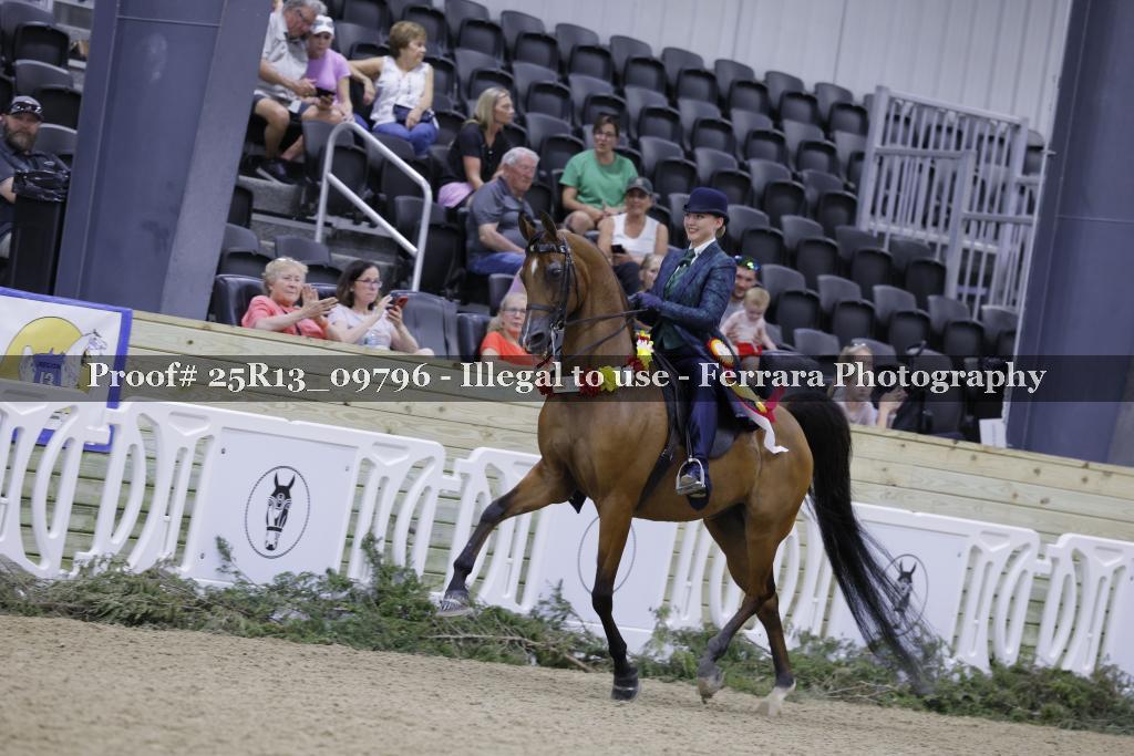 Proof Number 25R13_09796