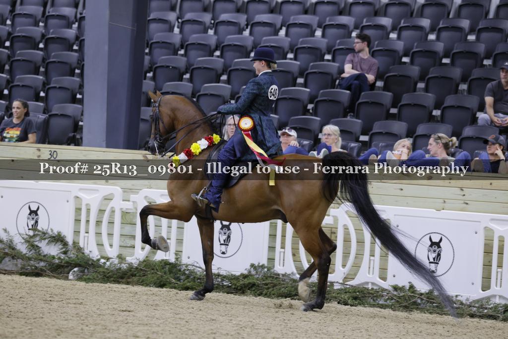 Proof Number 25R13_09801