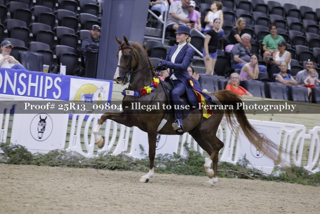 Proof Number 25R13_09804