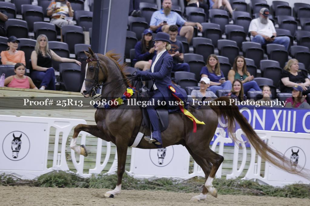 Proof Number 25R13_09806
