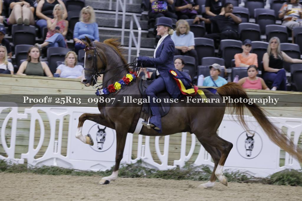 Proof Number 25R13_09807