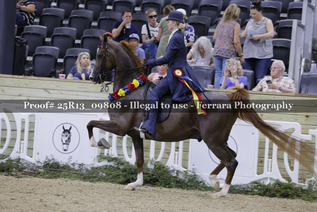 Proof Number 25R13_09808