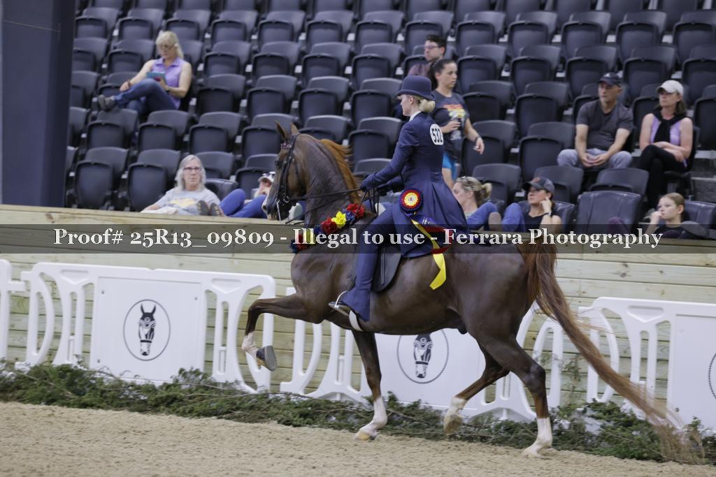 Proof Number 25R13_09809