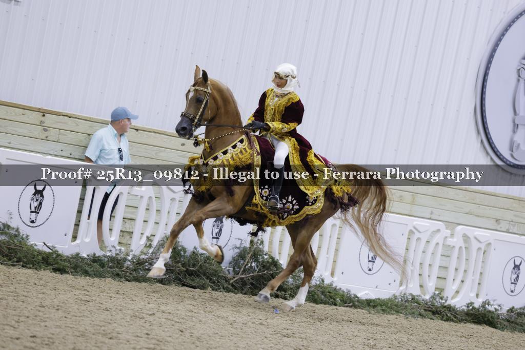 Proof Number 25R13_09812