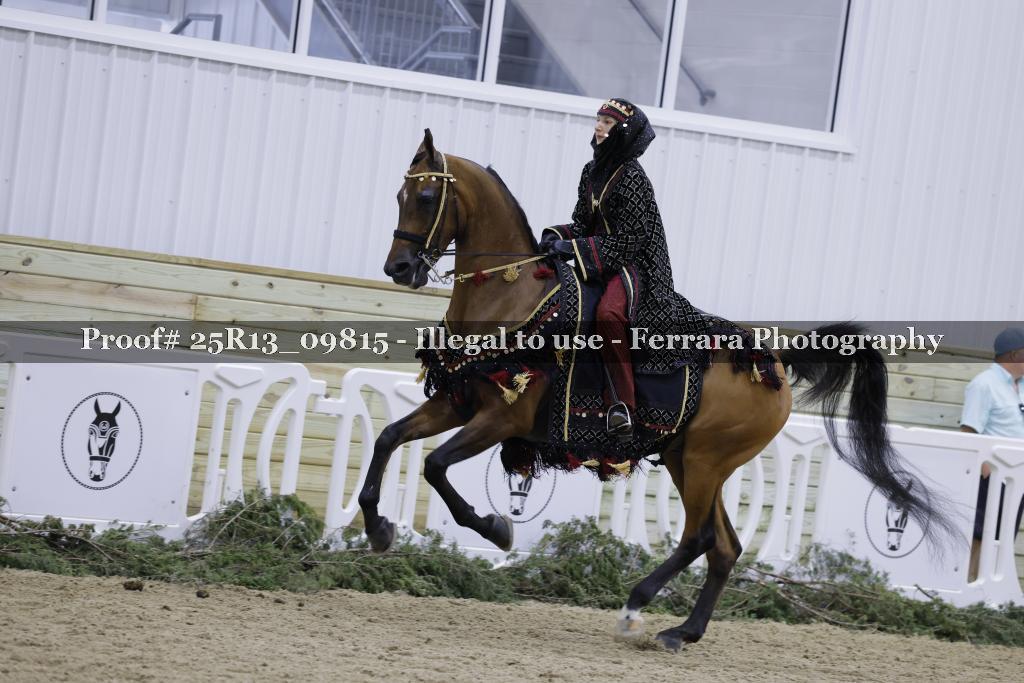 Proof Number 25R13_09815