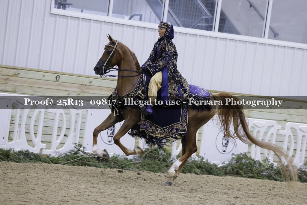 Proof Number 25R13_09817