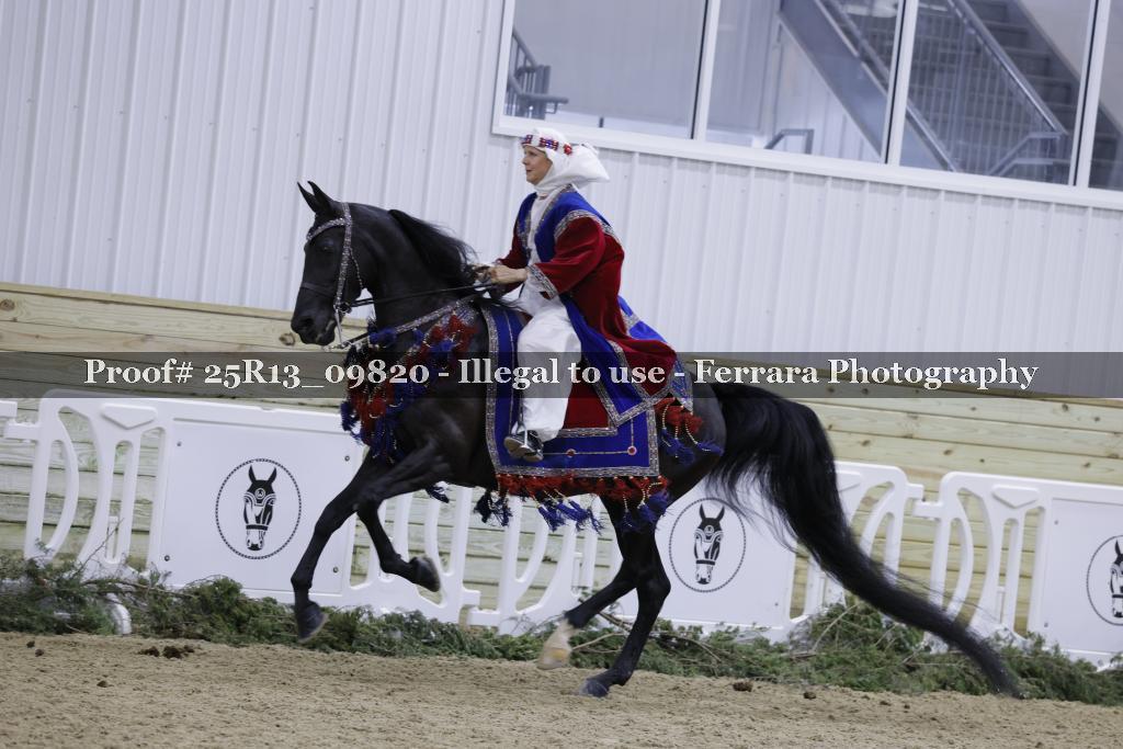 Proof Number 25R13_09820