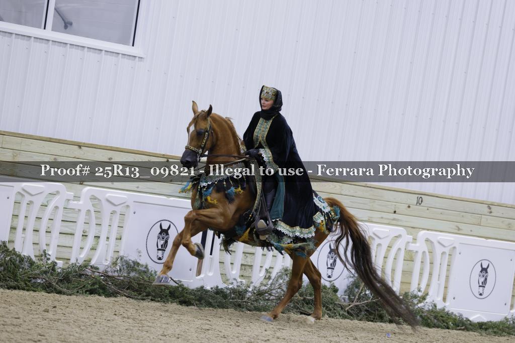 Proof Number 25R13_09821