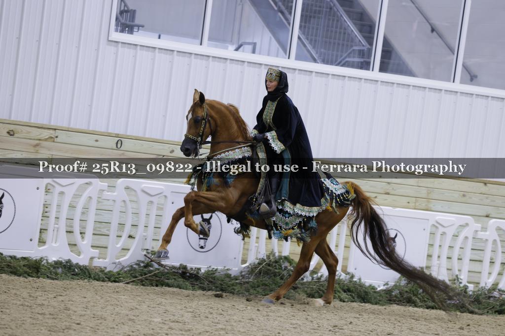 Proof Number 25R13_09822