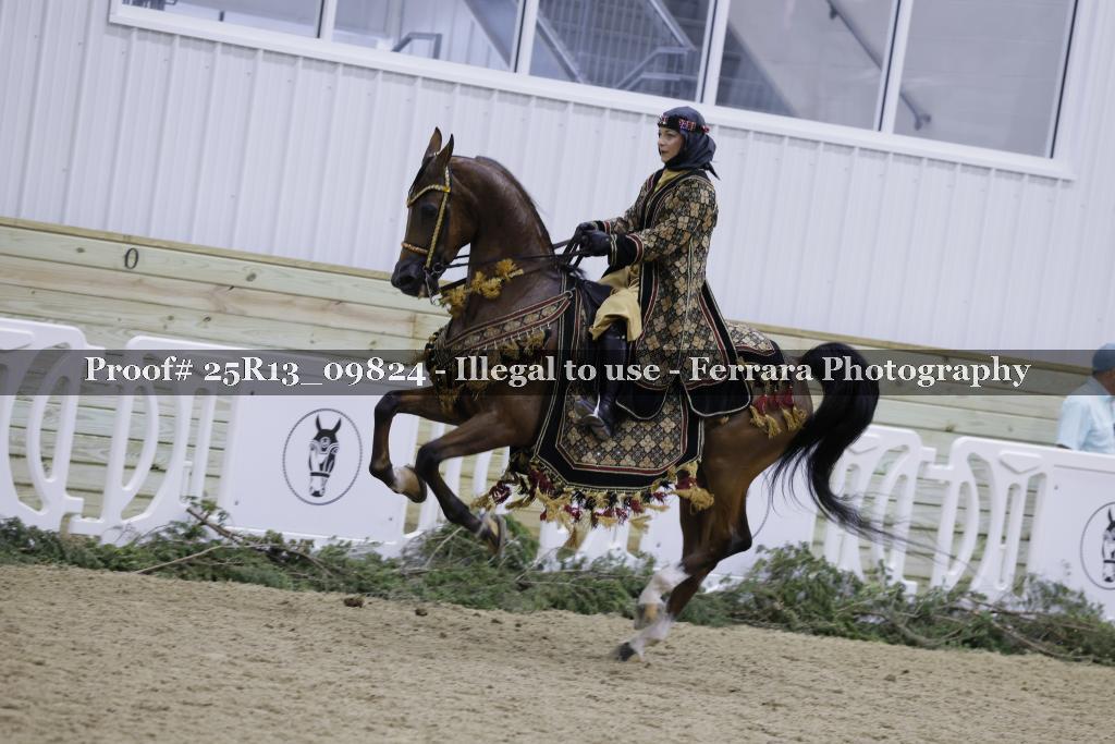 Proof Number 25R13_09824