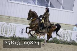 25R13_09824 thumbnail