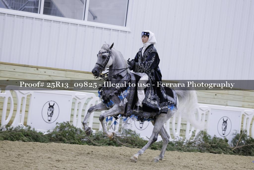 Proof Number 25R13_09825