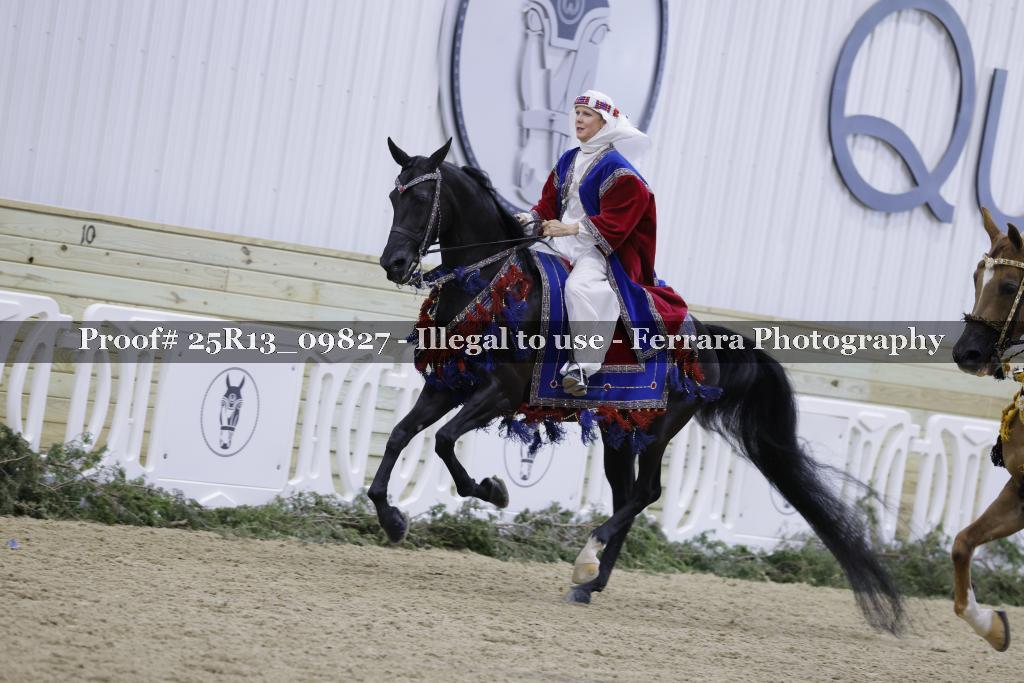 Proof Number 25R13_09827