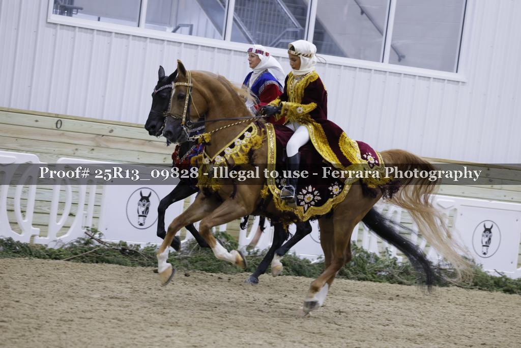 Proof Number 25R13_09828