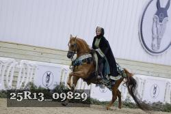 25R13_09829 thumbnail