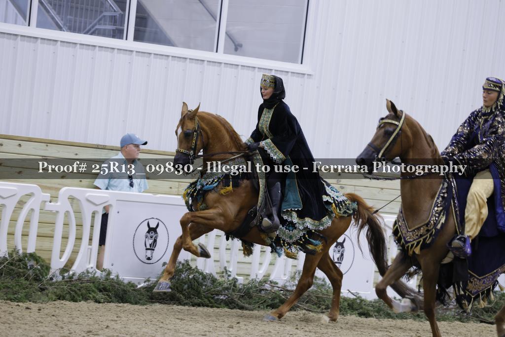 Proof Number 25R13_09830
