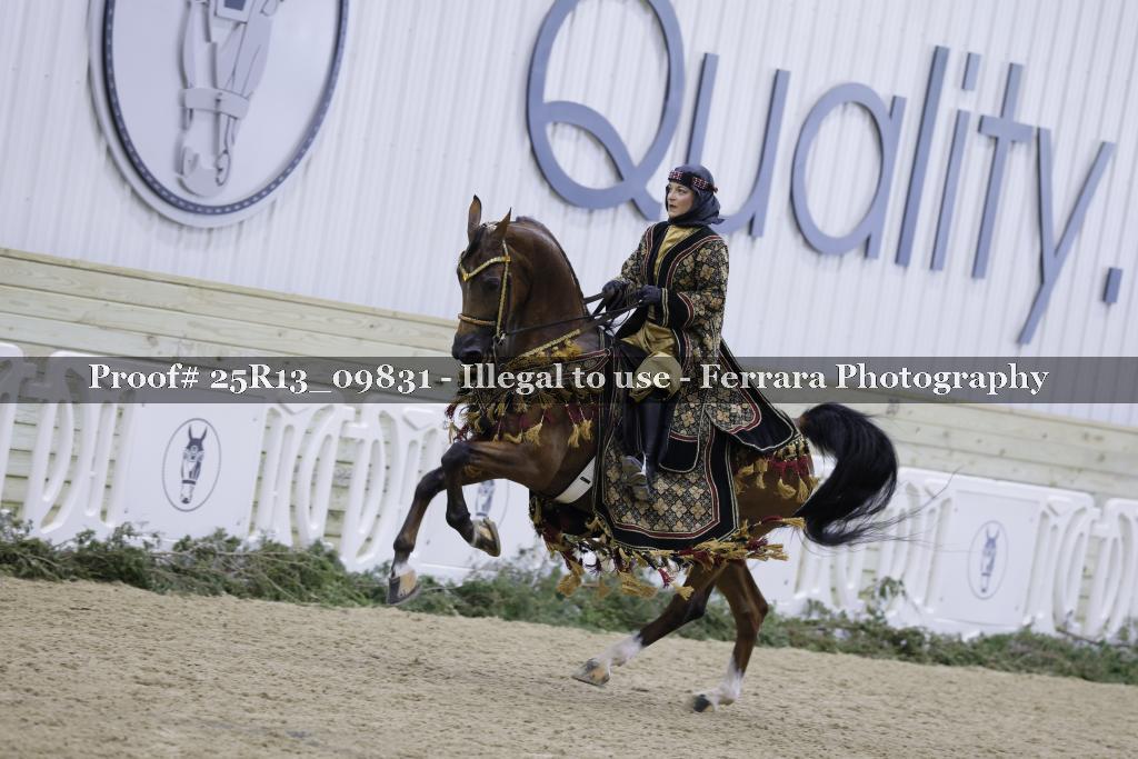 Proof Number 25R13_09831