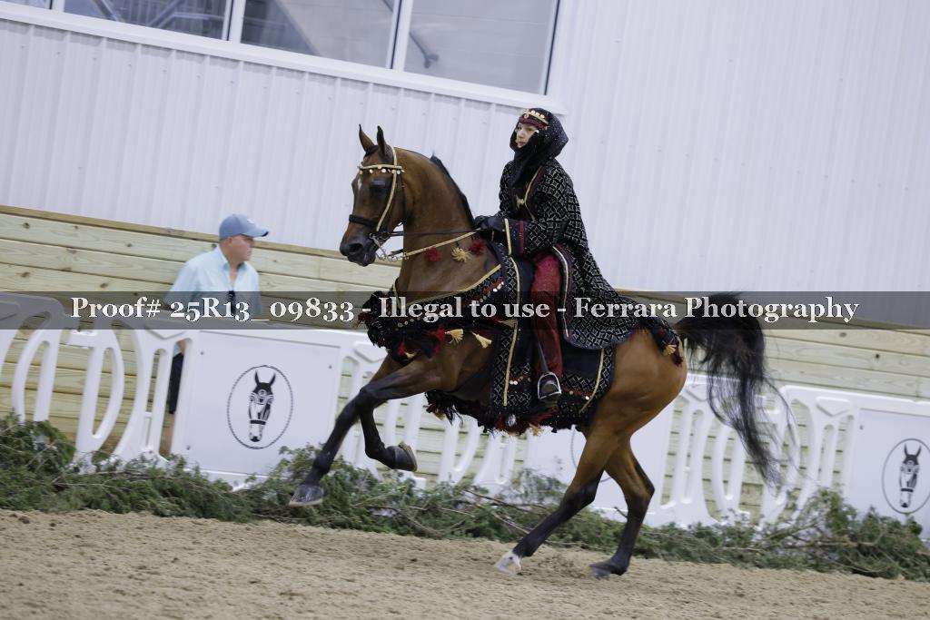 Proof Number 25R13_09833