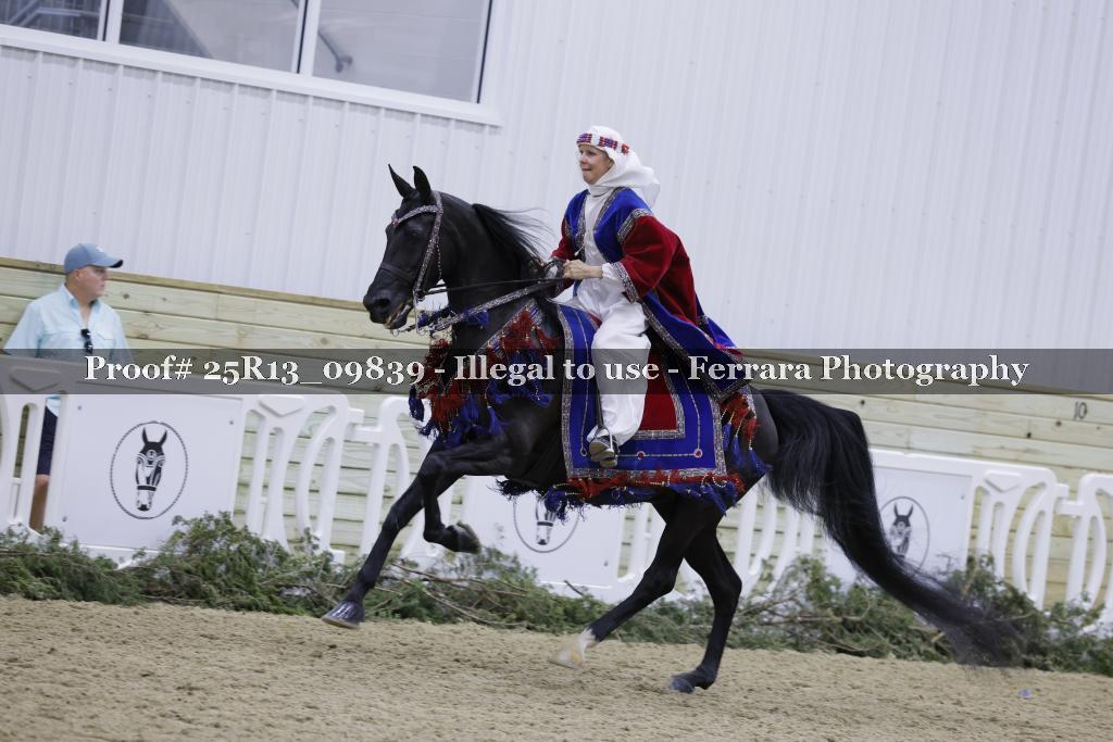Proof Number 25R13_09839