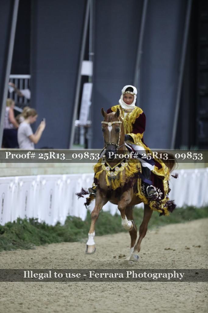 Proof Number 25R13_09853