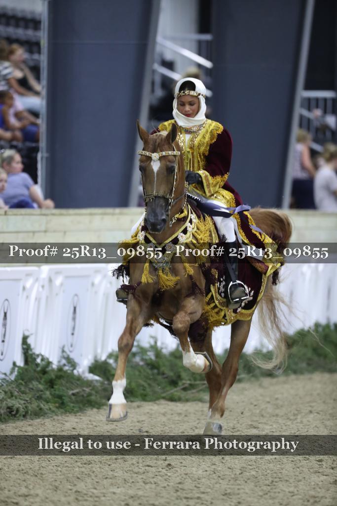 Proof Number 25R13_09855