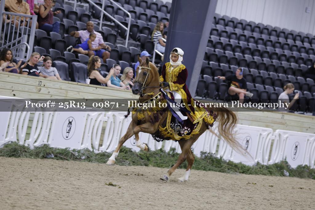 Proof Number 25R13_09871