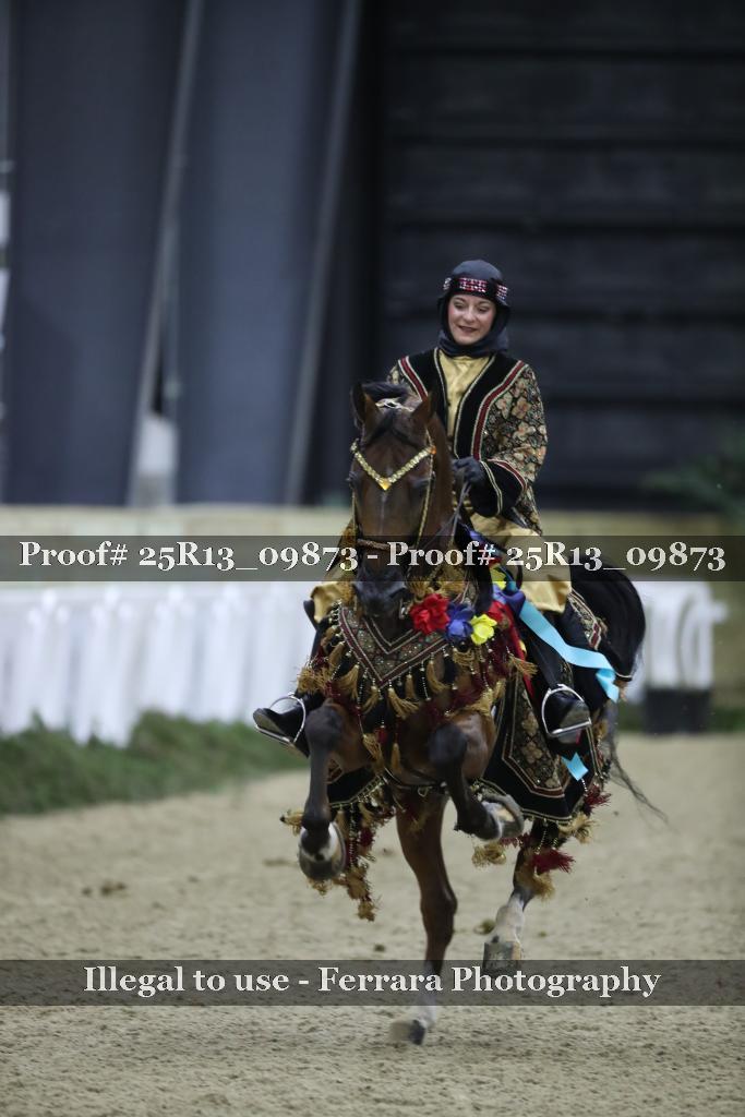 Proof Number 25R13_09873