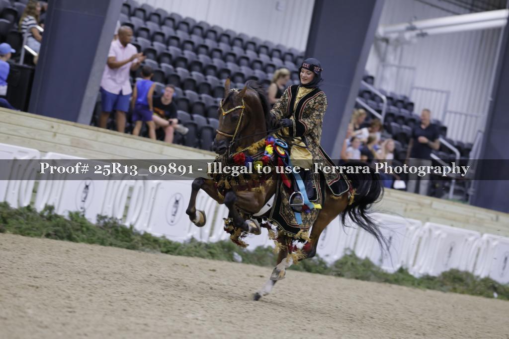 Proof Number 25R13_09891