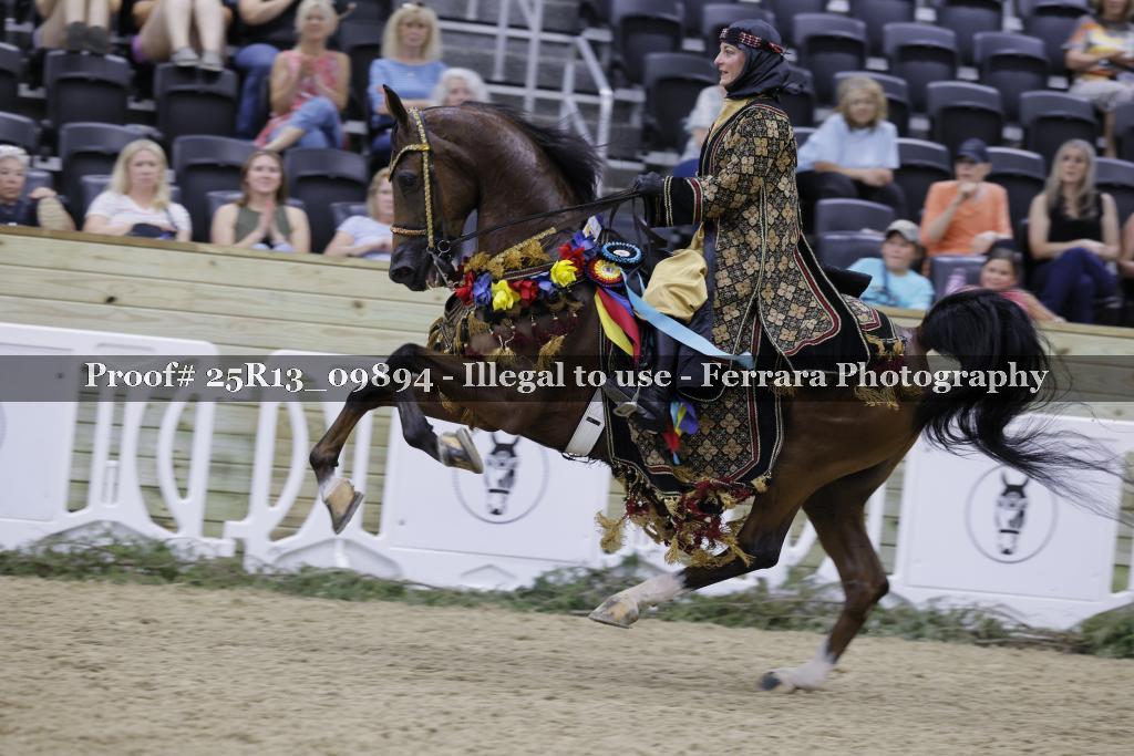 Proof Number 25R13_09894