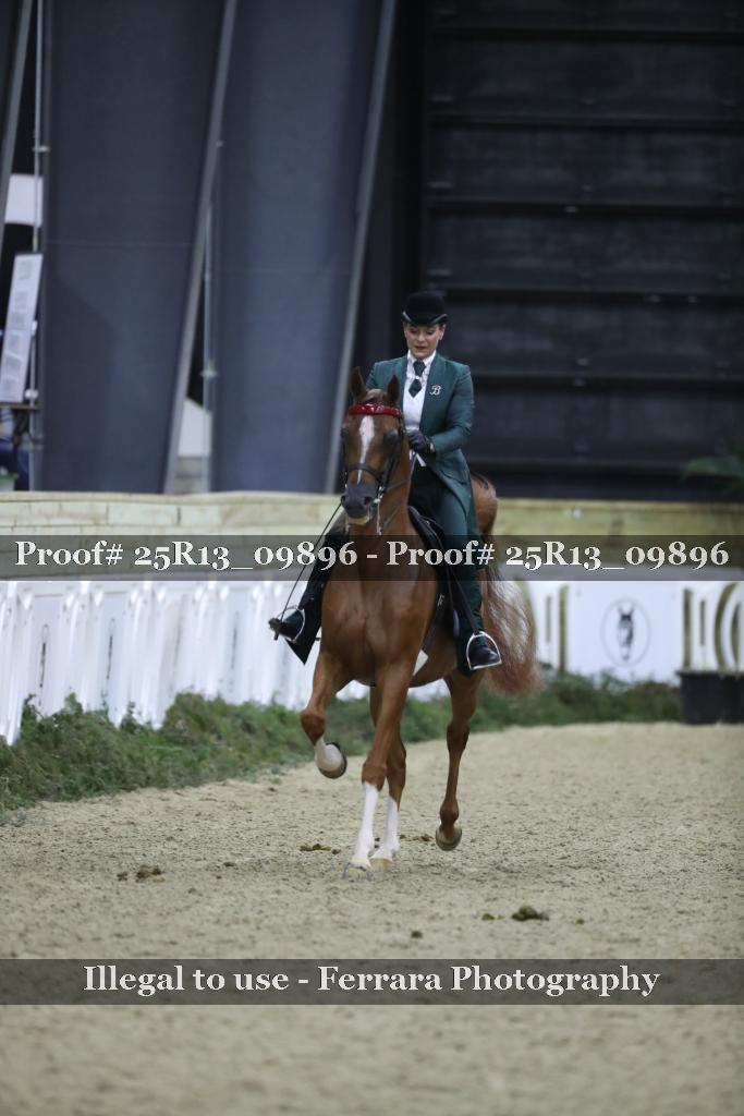 Proof Number 25R13_09896